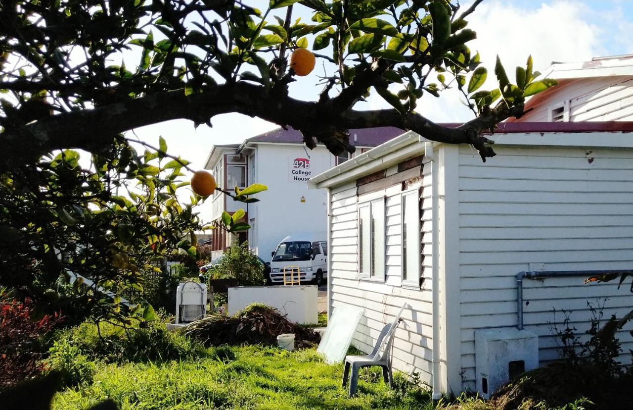 42B College House Whanganui Exterior foto